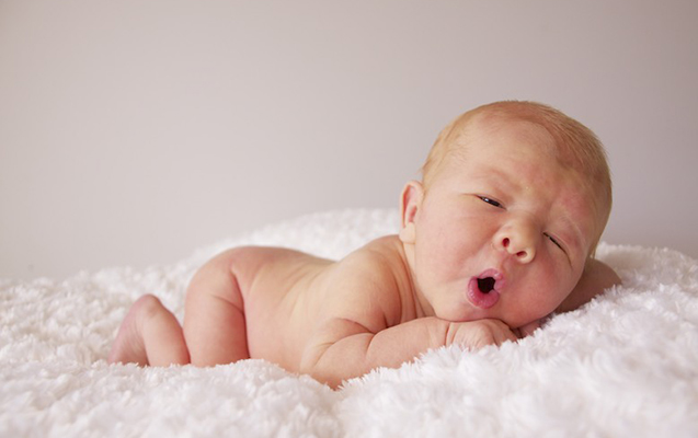 Nikolaevdagi sperma banklari